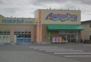 アメリカンドラッグ　佐久中込店(ドラッグストア)まで430m 細野ビル　ブレイン駒場公園