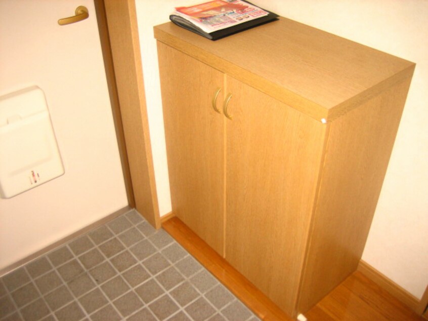  エクセリーナ咲