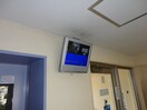  セレナヴィータ浅間Ｓ