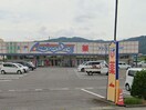 アメリカンドラッグ　臼田店(ドラッグストア)まで1755m メゾンすみれ