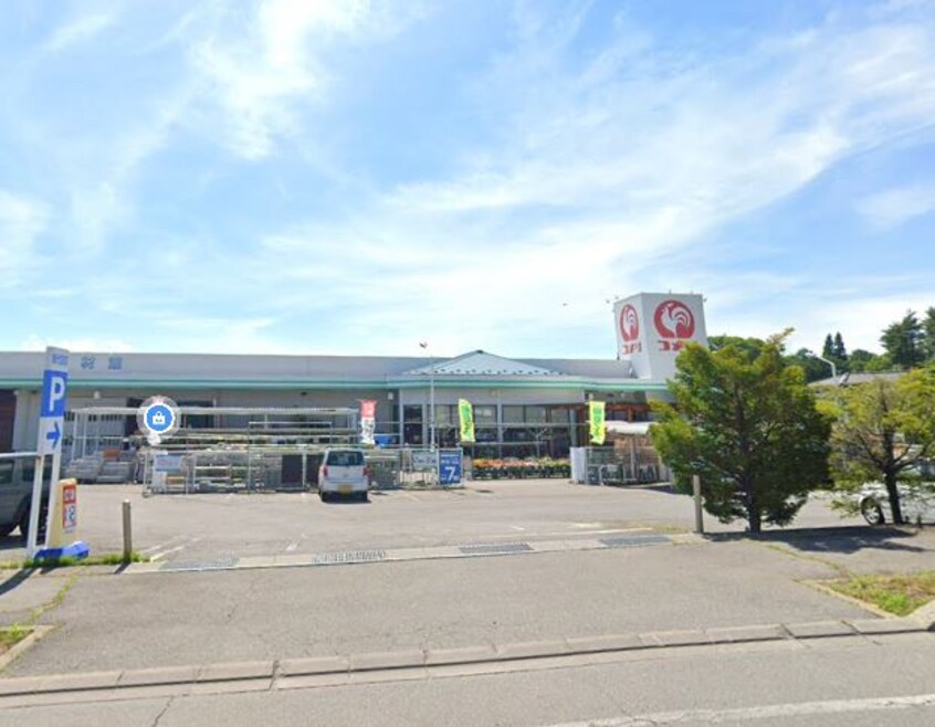 ｺﾒﾘﾊｰﾄﾞ＆ｸﾞﾘｰﾝ 御代田店(電気量販店/ホームセンター)まで2529m ラ・フォンテ西軽井沢W