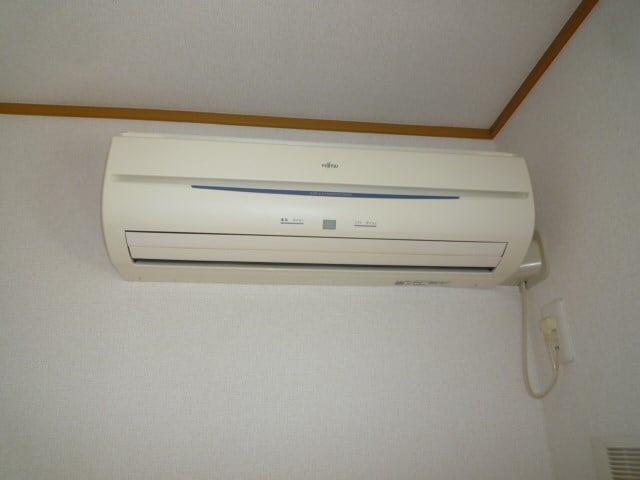 参考写真 プリムローズ