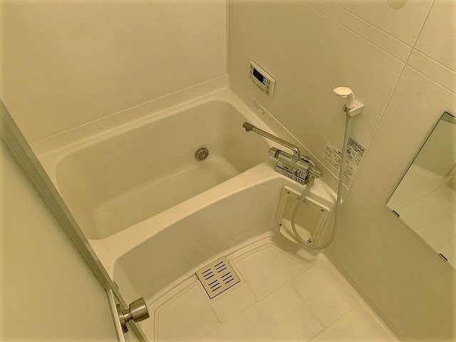 参考写真 サープラスTwoアップル