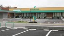 ツルヤ小諸店(スーパー)まで215m メゾンスマイル
