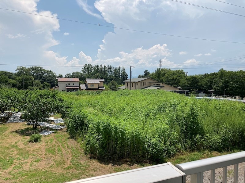 参考写真 ツインパレスコイズミG