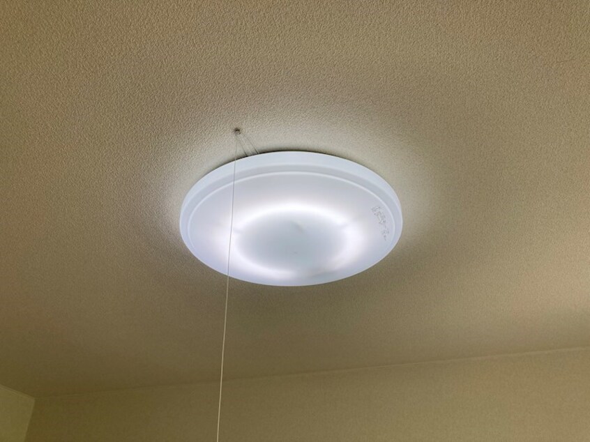 参考写真 ツインパレスコイズミG