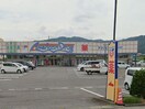 アメリカンドラッグ　臼田店(ドラッグストア)まで1522m ルピナス千曲Ａ