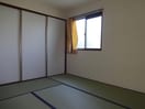  グリーンセイシェルN
