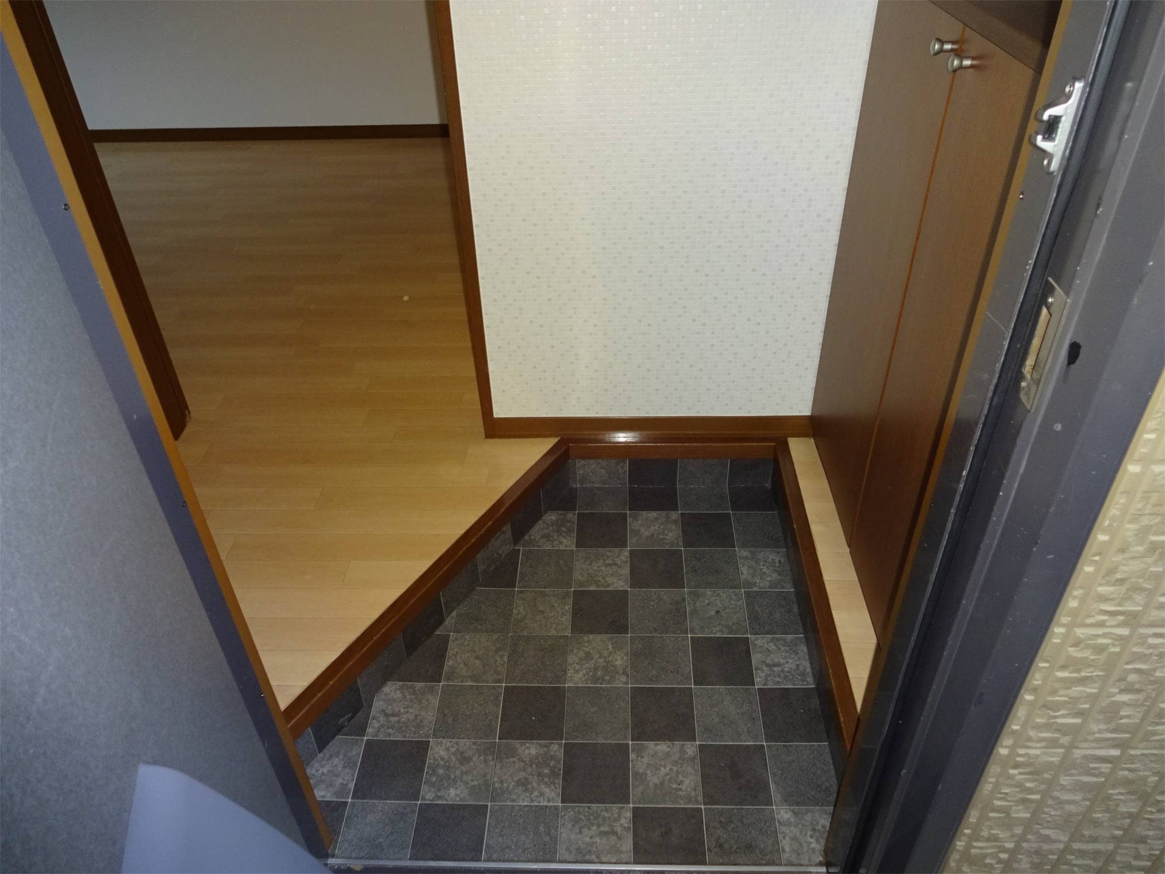  グリーンセイシェルN