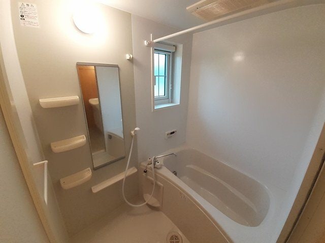  パインアヴェニューC