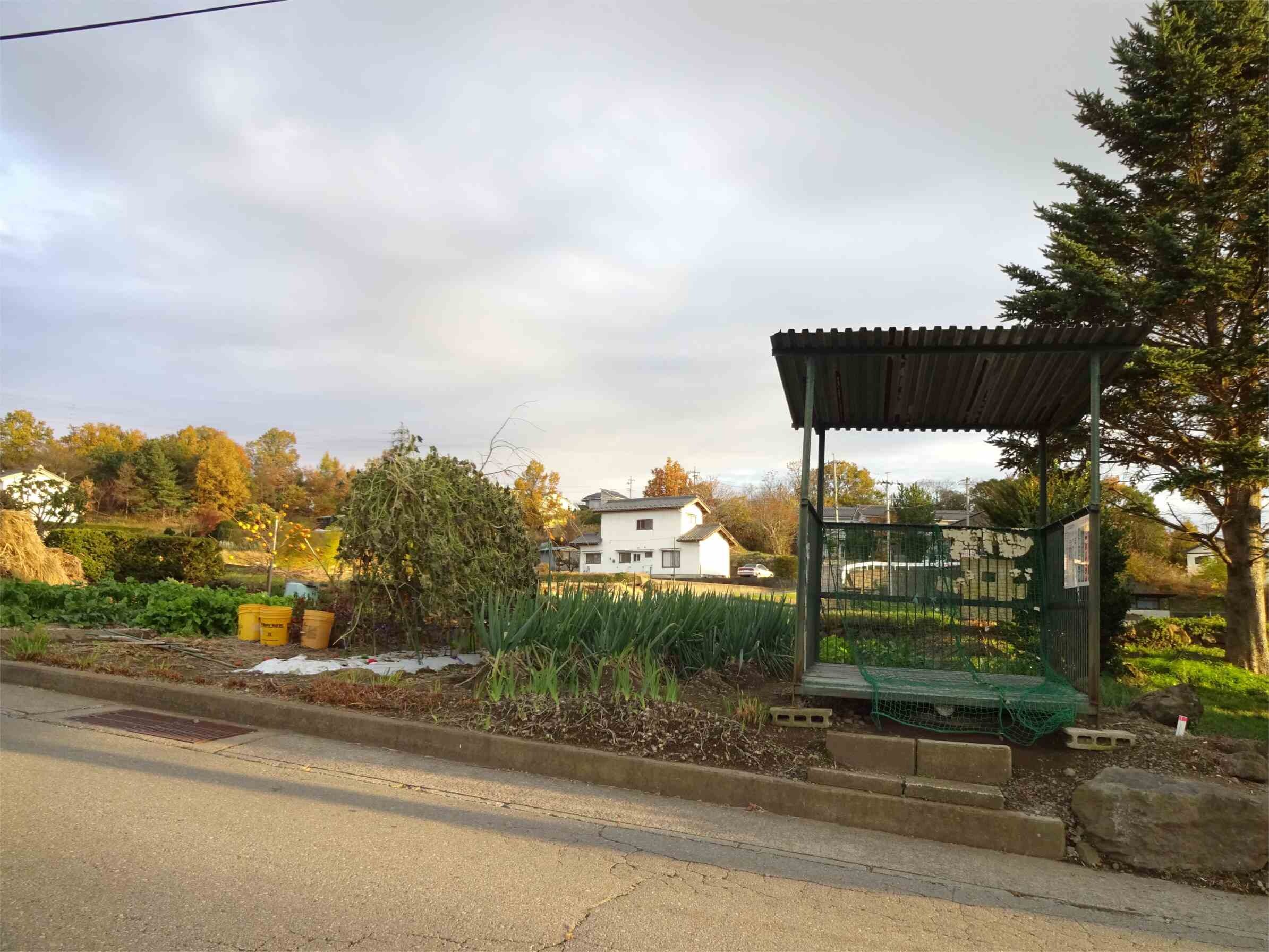  サンテラスコーポ