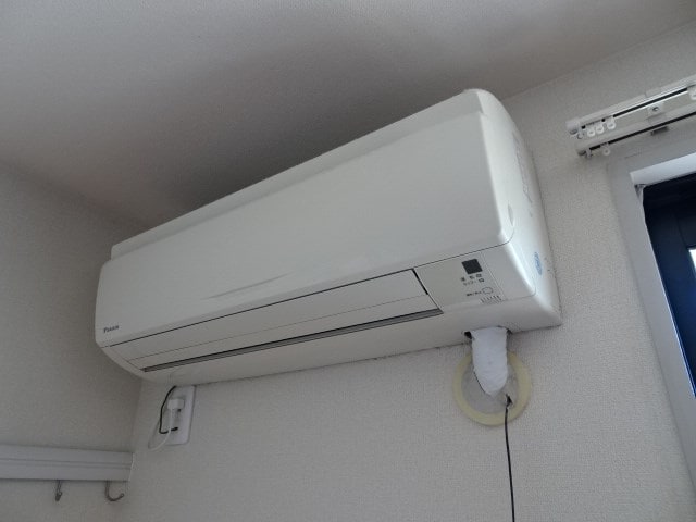 ※参考写真となります。 フレグランス乙女Ｂ
