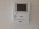  エルヴィータS