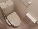 エルヴィータS