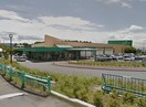 ツルヤ 御代田店(スーパー)まで2992m エルヴィータS