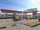 ENEOS　セルフ佐久平SSまで727m グランコートVI