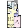 プロスペラス 1LDKの間取り