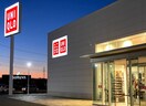 ユニクロ　佐久北インター店(ショッピングセンター/アウトレットモール)まで539m ミニョンサンクチノ
