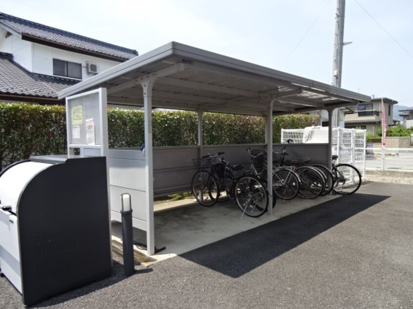  プラシードカーサ