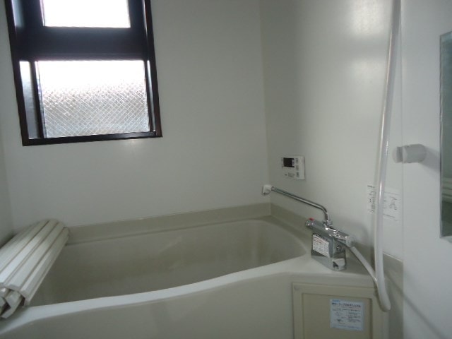  リビアン川中島