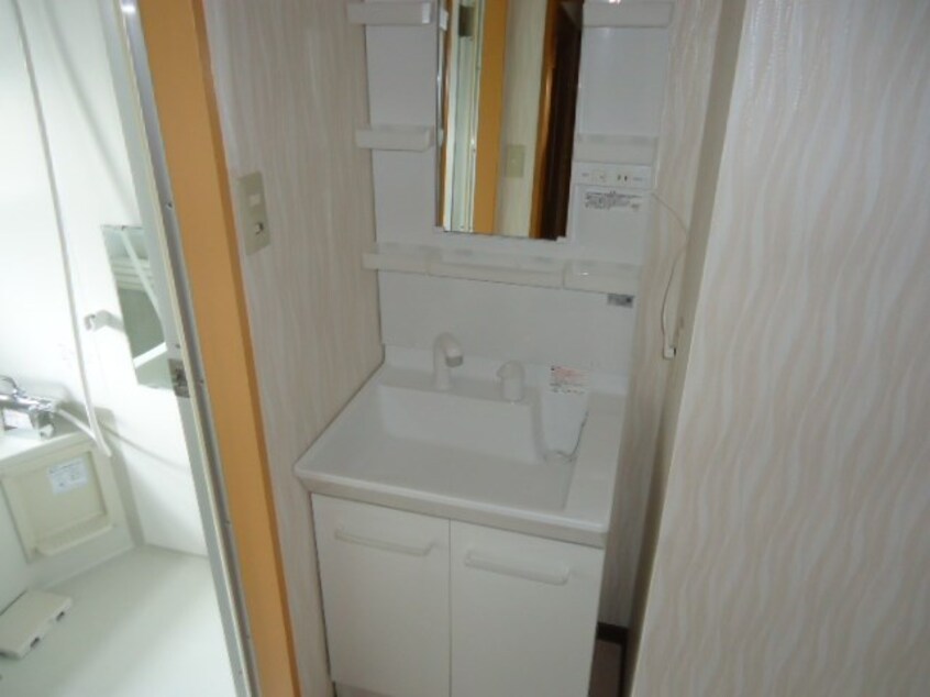  リビアン川中島