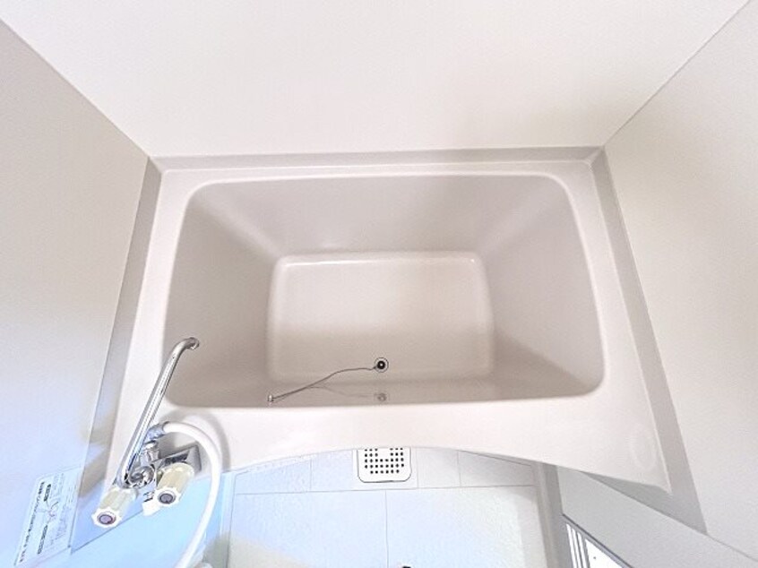  ベルスビック新井