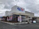 【12/28オープン】CosTop（ｺｽﾄｯﾌﾟ） 長野(スーパー)まで873m タウンＪＮＴＫ　Ｂ棟