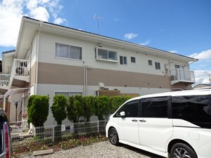 ハイムサンフラワー
