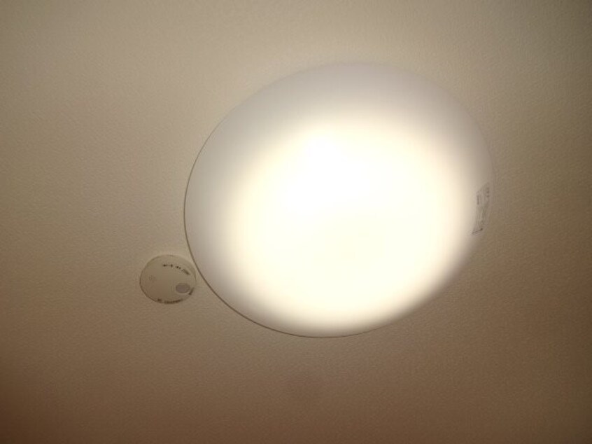  フォーレスマイメール