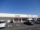 ｳｴﾙｼｱ長野篠ﾉ井布施高田店(ドラッグストア)まで1064m シティハイム宮浦