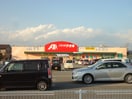 クスリのアオキ　篠ﾉ井店(ドラッグストア)まで1248m アパートメント石塔