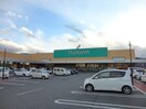 ﾂﾙﾔ松代店(スーパー)まで1844m ハイツみやす