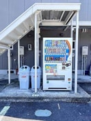  フレグランスマルコIII