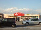 クスリのアオキ篠ﾉ井店(ドラッグストア)まで2534m アクアメゾン