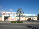 ｱﾒﾘｶﾝﾄﾞﾗｯｸﾞ 川中島店(ドラッグストア)まで457m コート岡田屋Ｄ