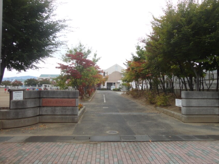 長野市立三本柳小学校(小学校)まで334m サンシャインオカムラ