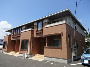 ボニートあんず