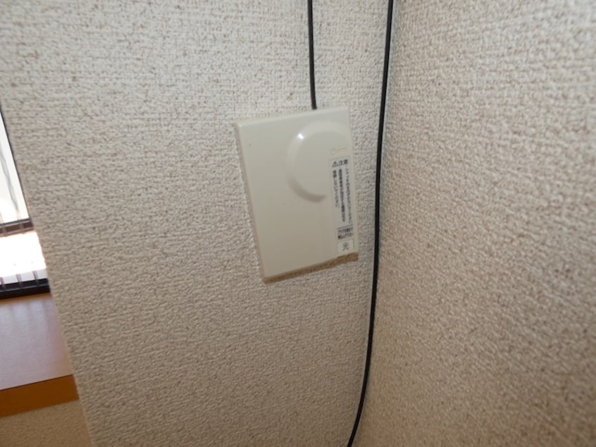  サープラスクオーレ