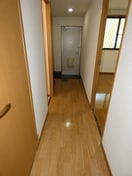  サープラスクオーレ