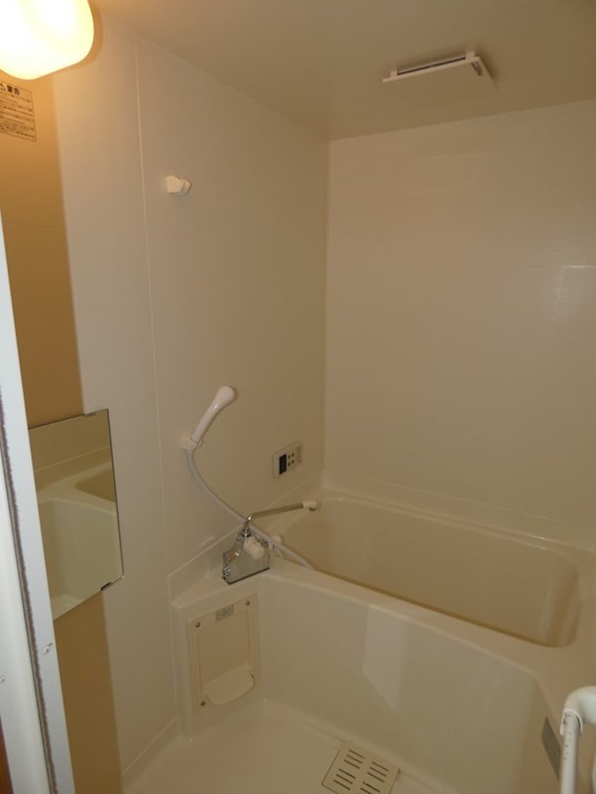  サープラスクオーレ