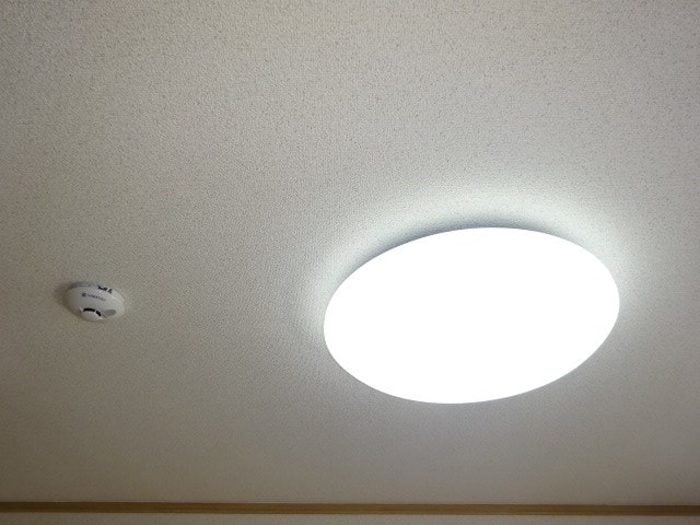  プランタン津崎