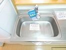  プリムローズB