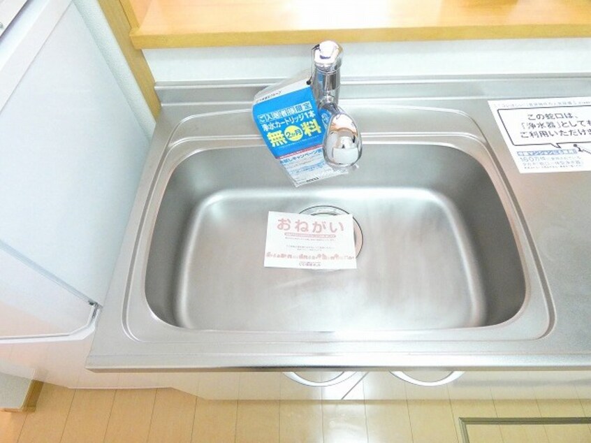  プリムローズB