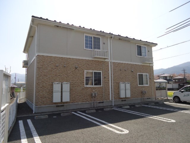  サンフラワー　B