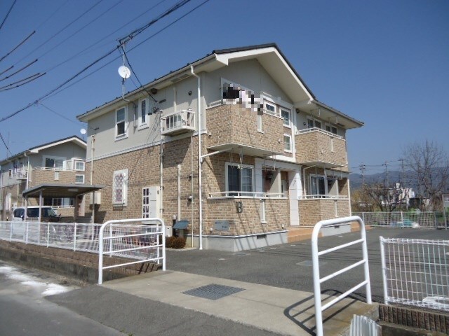  サンフラワー　B