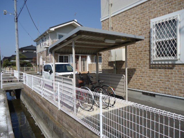  サンフラワー　B