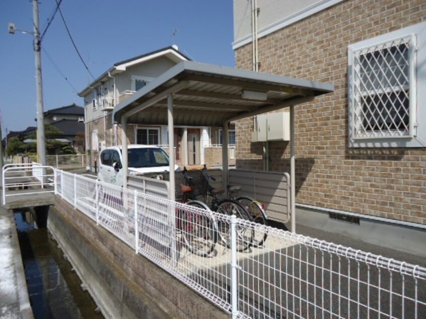  サンフラワー　B