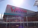 綿半スーパーセンター川中島店(電気量販店/ホームセンター)まで364m シャルマン櫻街　リリパット