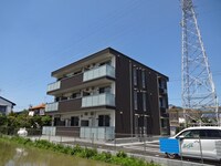 Mｅｌａ ｒｏｓｓａ