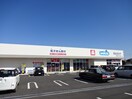 ｳｴﾙｼｱ長野篠ﾉ井布施高田店(ドラッグストア)まで515m サウスブルック